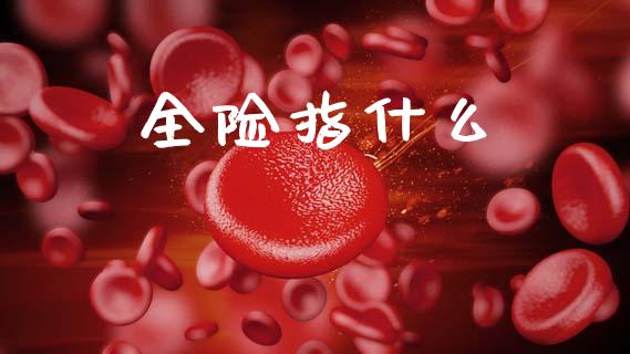 全险指什么_https://m.letulww.com_期货开户保证金_第1张