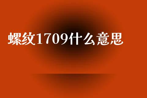 螺纹1709什么意思_https://m.letulww.com_期货开户保证金_第1张