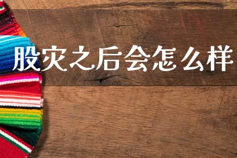 股灾之后会怎么样_https://m.letulww.com_期货开户保证金_第1张