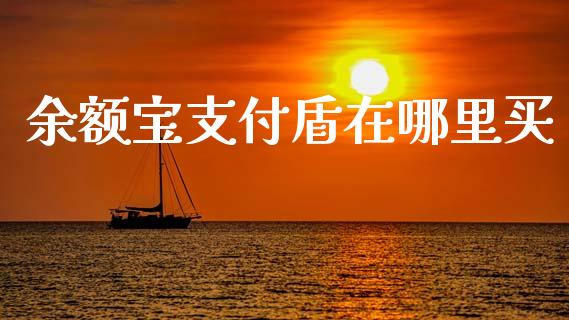 余额宝支付盾在哪里买_https://m.letulww.com_期货开户保证金_第1张