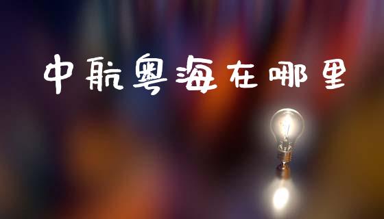 中航粤海在哪里_https://m.letulww.com_期货交易策略_第1张