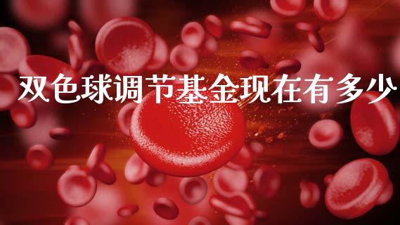 双色球调节基金现在有多少_https://m.letulww.com_期货交易策略_第1张