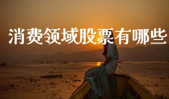 消费领域股票有哪些_https://m.letulww.com_期货交易策略_第1张